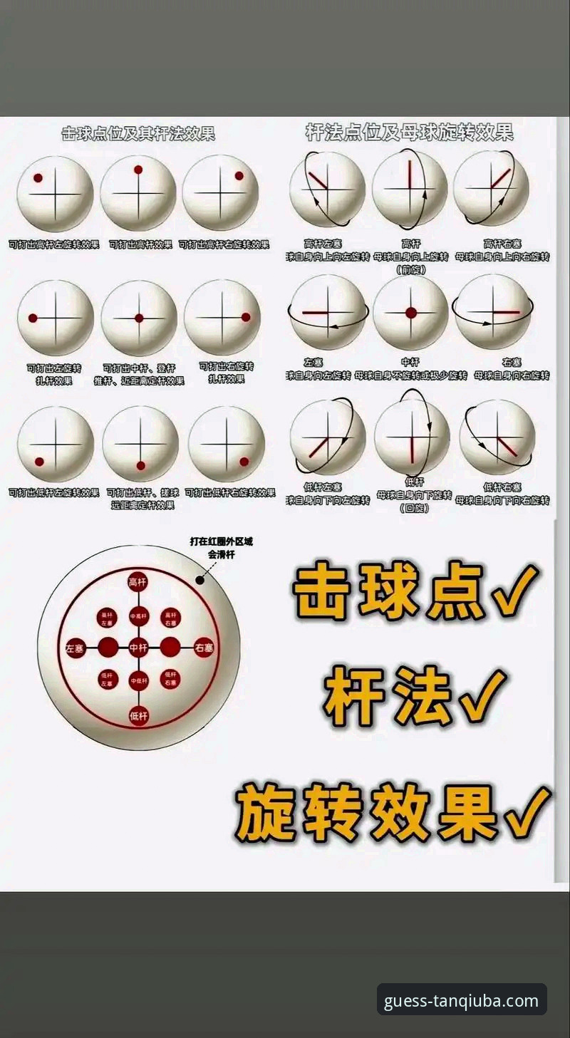 谈球吧体育使用教程最新动态：从注册到投注的全流程实战指南